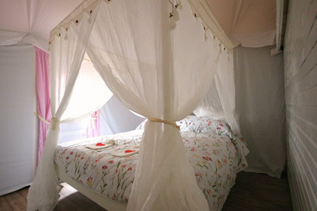 Below: Tree of life motif veil four poster bed via Apartment Therapy.